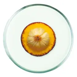 Ulei de Buriti Ulei de Buriti