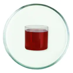 colagen vegan colagen vegan