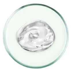 niacinamide niacinamide