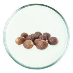 unt de shea unt de shea