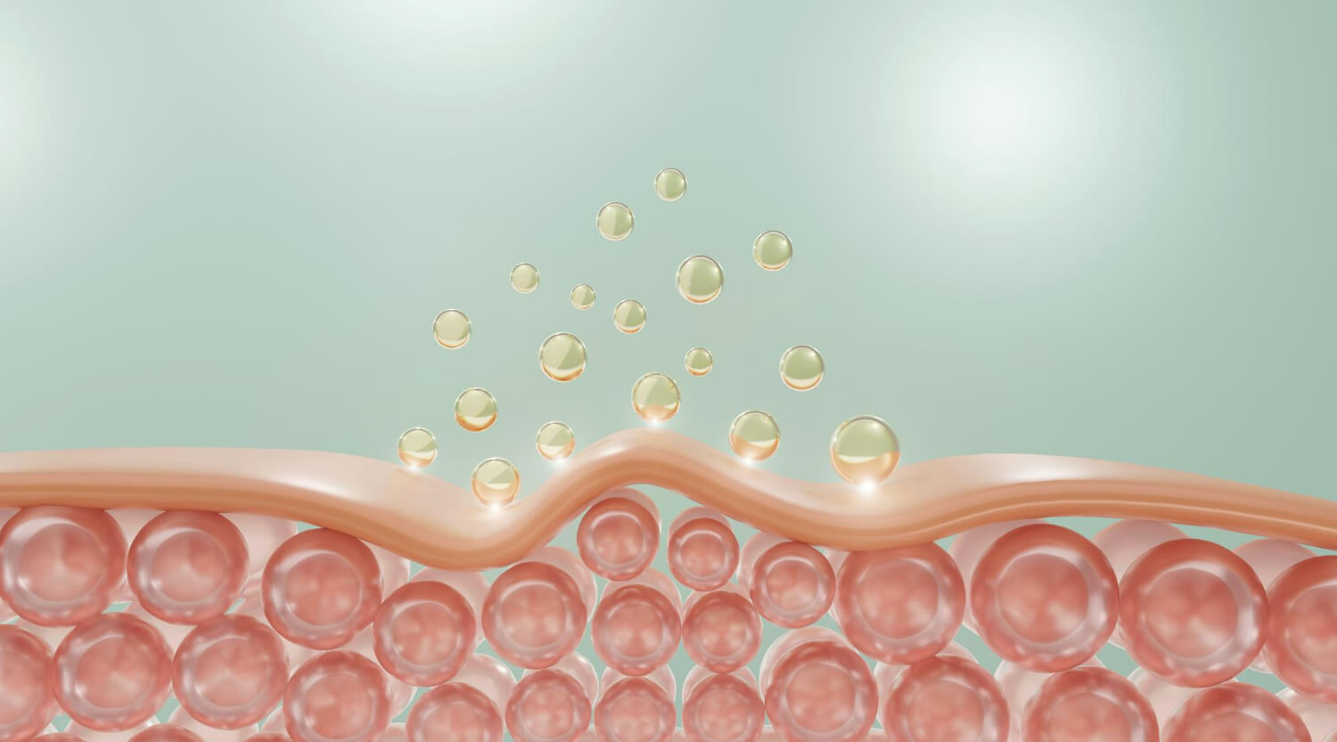 colagen si tipuri de colagen colagen si tipuri de colagen