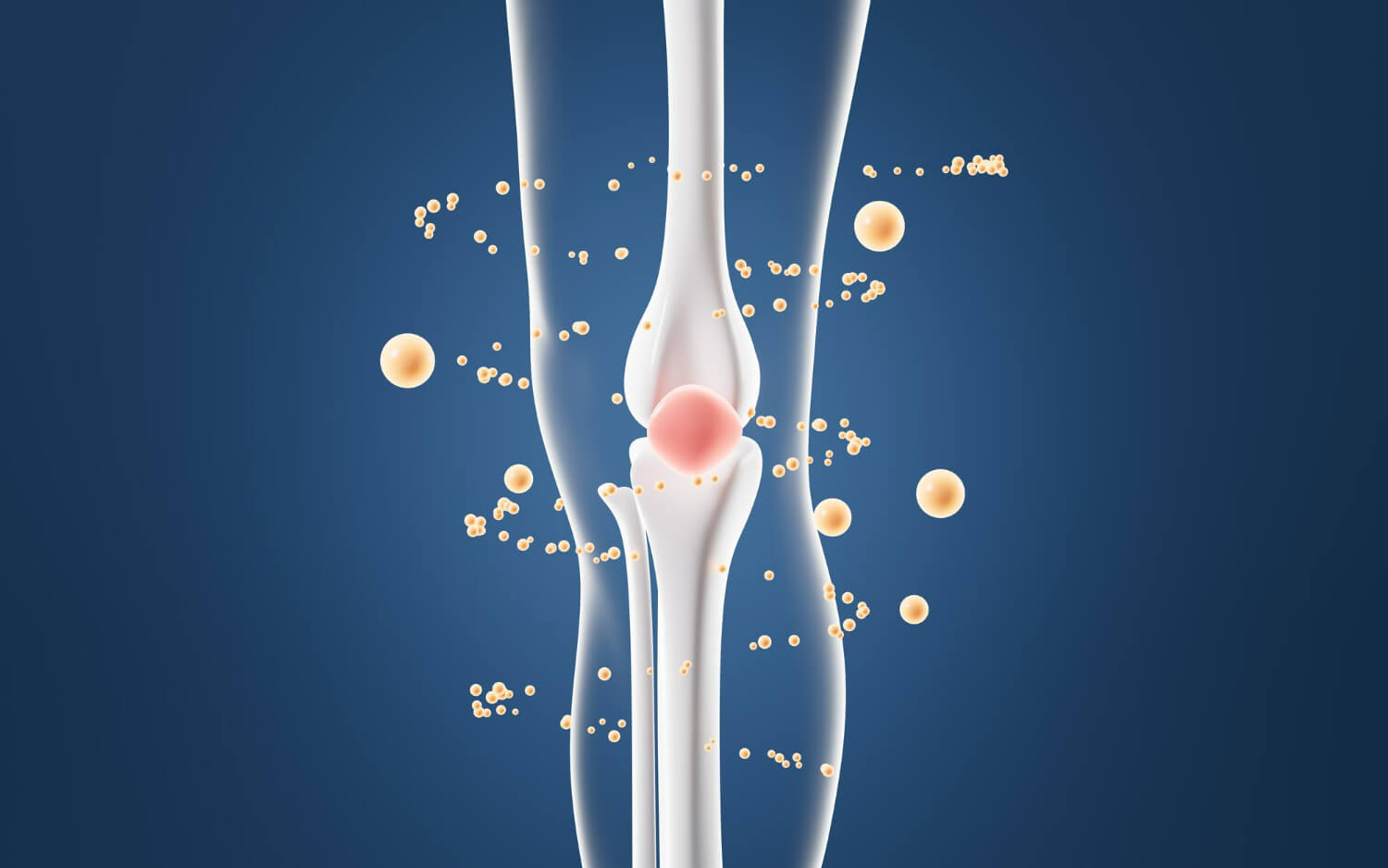 condroitina si glucozamina condroitina si glucozamina