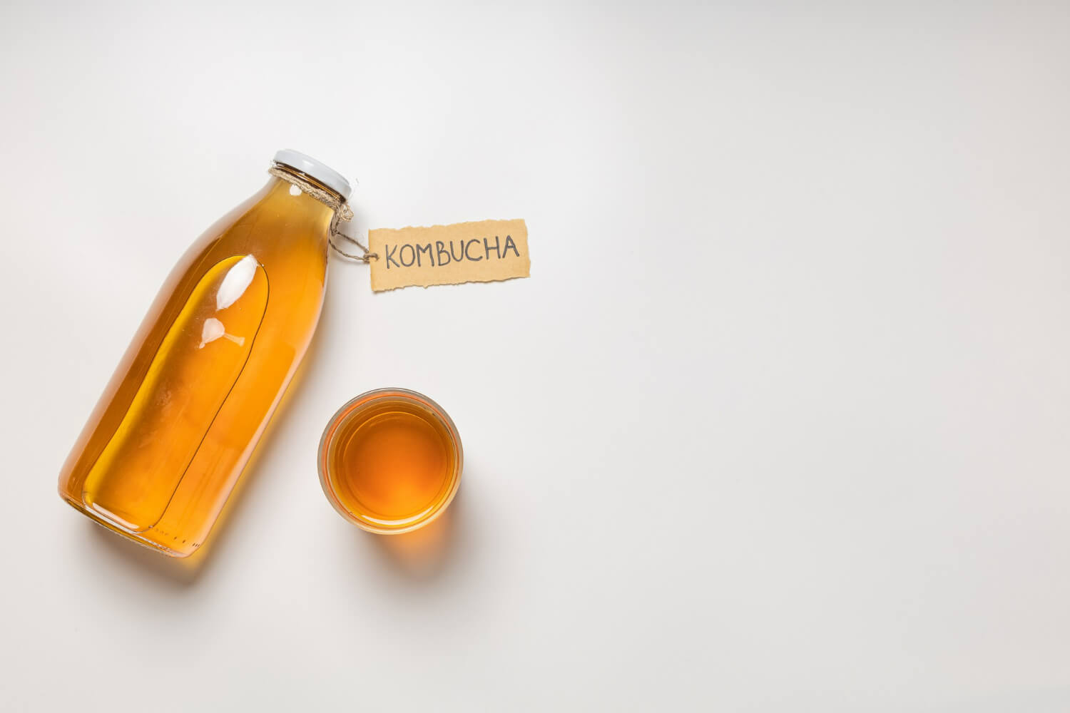 kombucha kombucha