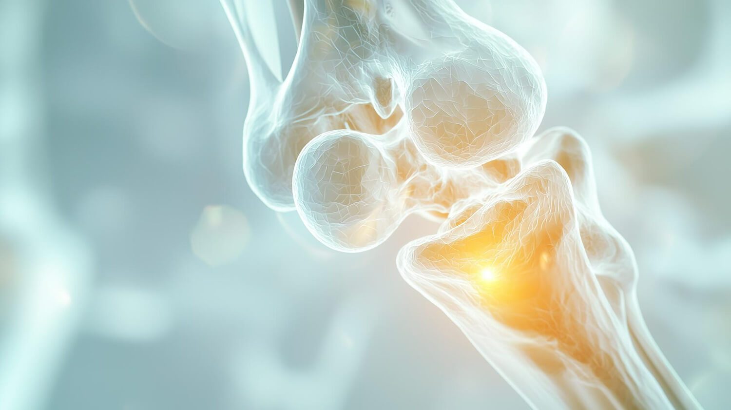 Cum functioneaza articulatiile Cum functioneaza articulatiile