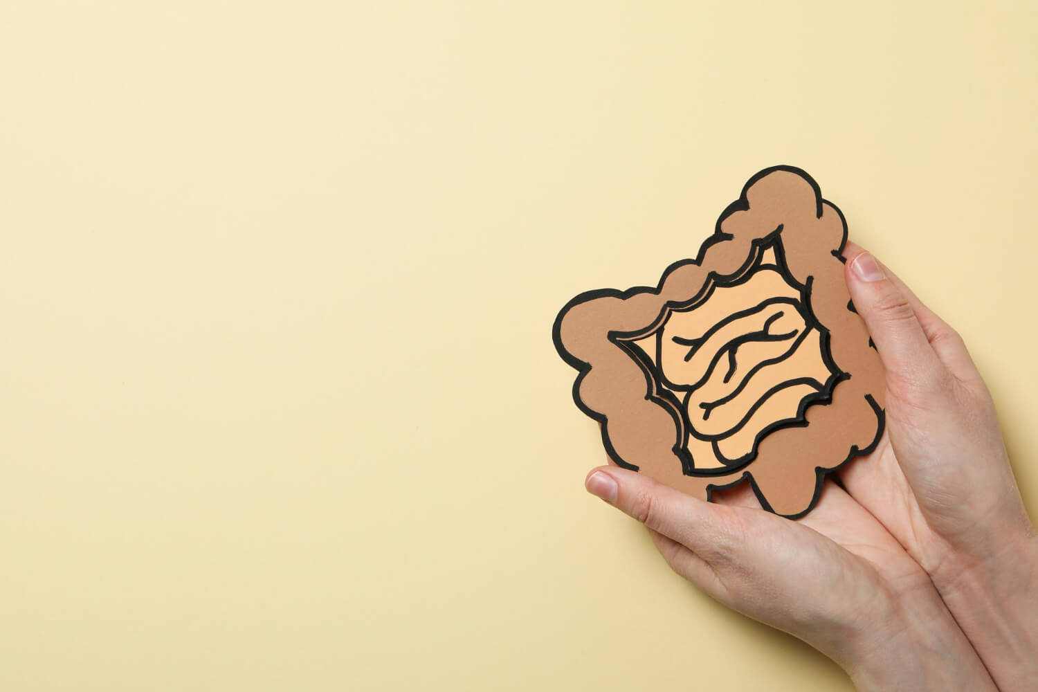 Ce inseamna flora intestinala Ce inseamna flora intestinala