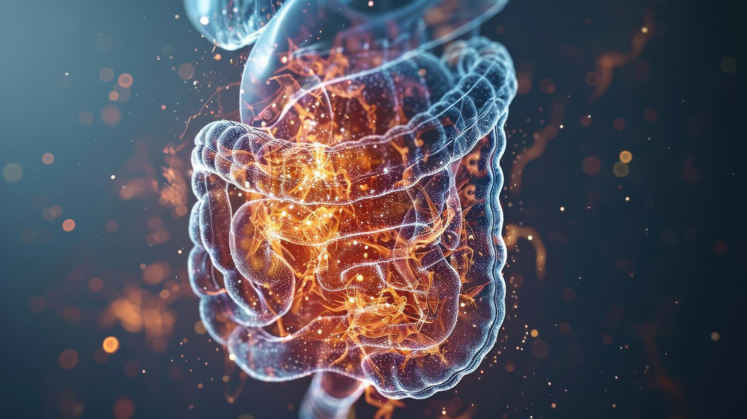 despre balonare despre balonare