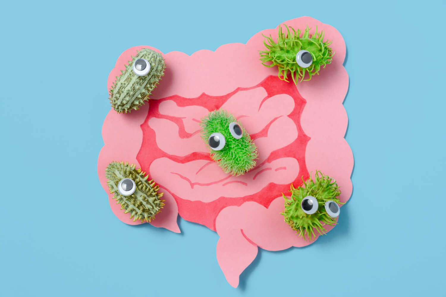 simptome microbiom intestinal dezechilibrat simptome microbiom intestinal dezechilibrat