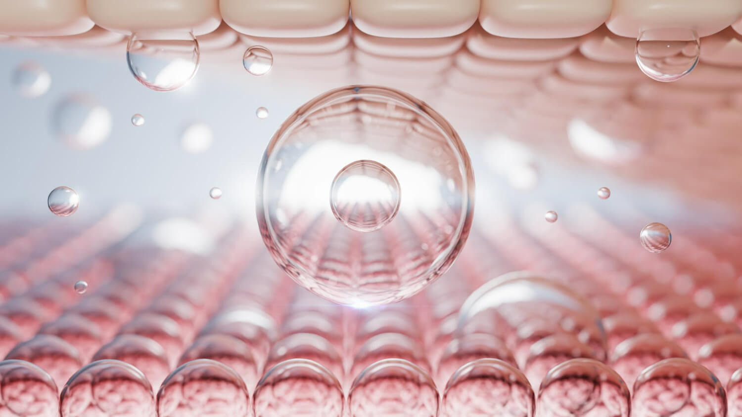 elastina si pielea elastina si pielea