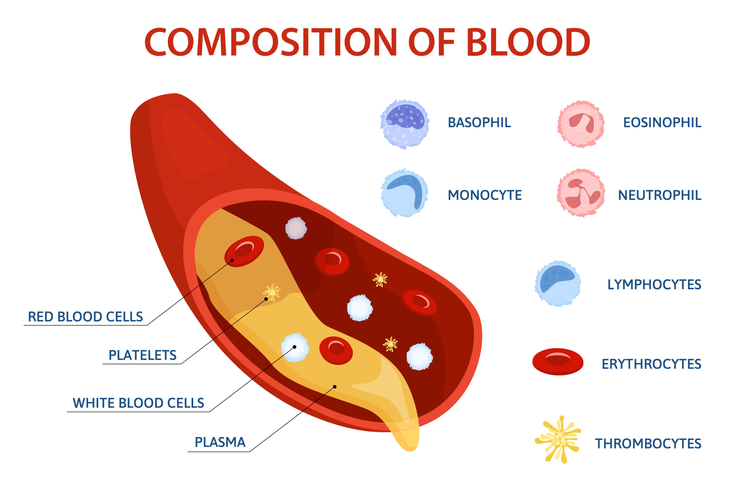 hemoglobina hemoglobina